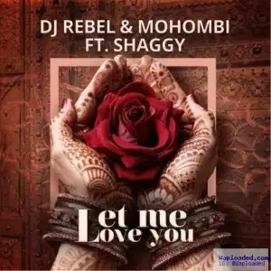 DJ Rebel - Let Me Love You Ft Shaggy & Mohombi